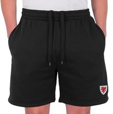 WALES Football Shorts Mens ME