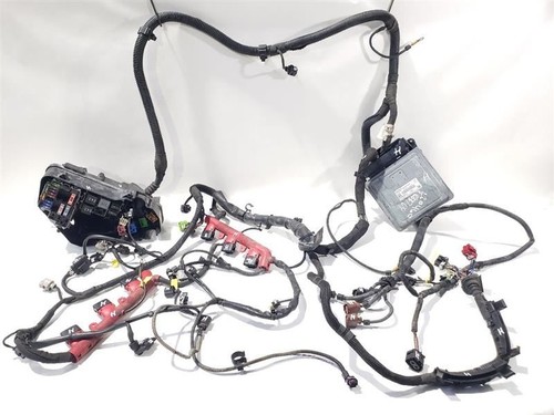Engine wiring harness ctwb - engine,