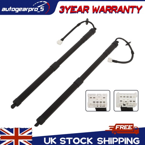 Electric tailgate boot strut - electric,