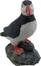 Nauticalia Puffin on Rock