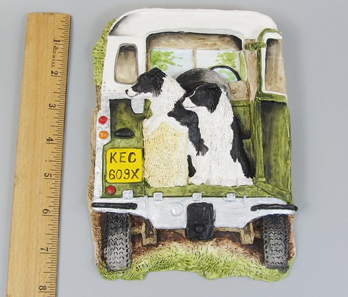 Stef sheepdogs border collie - stef,