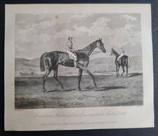 Antique 1839 print - Horse Racing - Cruiskeen - 1839 Cesarewitch winner