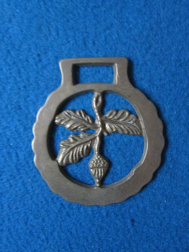 Vintage horse brass scottish - horse,