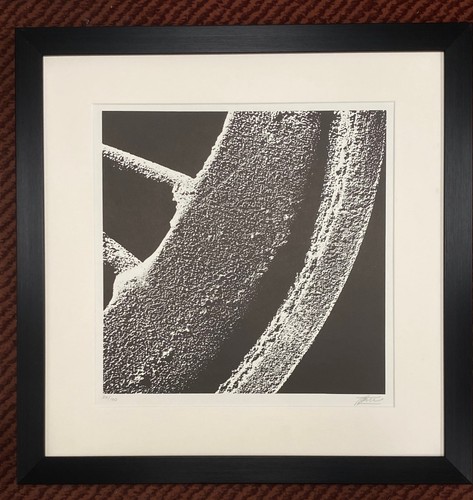Trevor grimshaw stilled life - trevor,