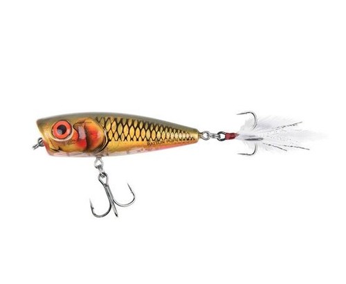 Salmo rattlin popper floating - rattlin,