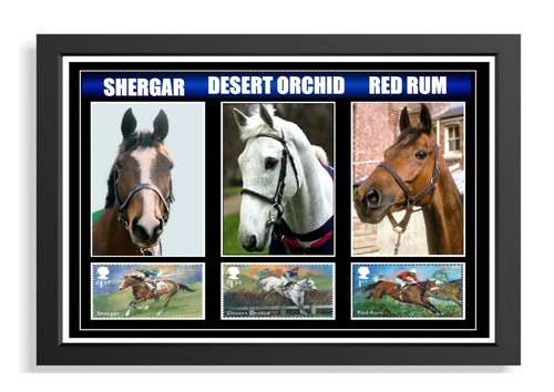 224 shergar desert orchid - shergar,