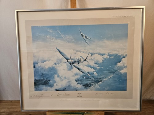 Robert taylor spitfire - robert,
