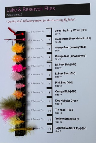 Selection flies for - 12,