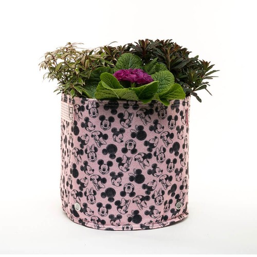 Disney litre eco - litre, pot.