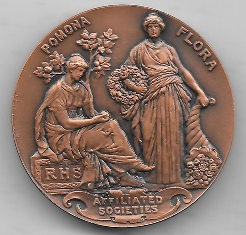 Bronze rhs pomona flora - bronze,