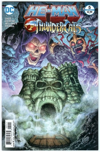 Man thundercats 5 - he-man/thundercats, #5