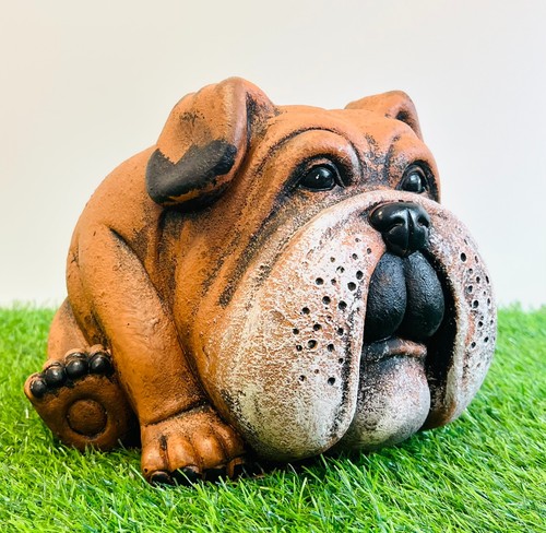 British bulldog garden - british,