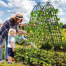 Metal Trellis Black Rustproof