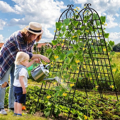 Metal trellis black rustproof - metal,