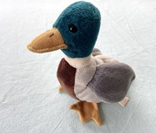 TY Beanie  - Jake The Duck