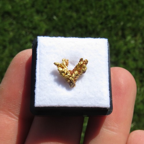 Rare natural crystallized - rare, gold