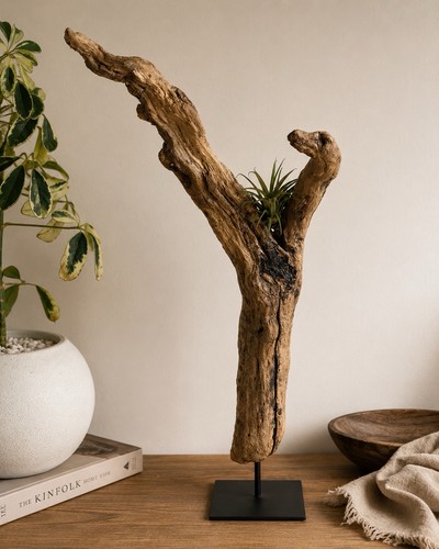 Unique driftwood sculpture - driftwood,