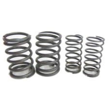 Valve Spring kit Fits Royal