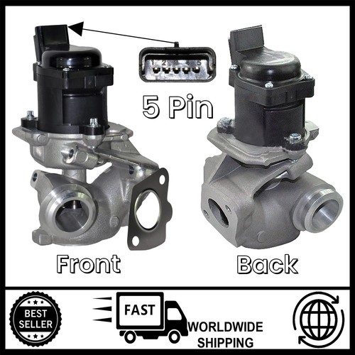 Egr valve for - valve,