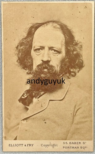 Cdv poet lord alfred - poet,