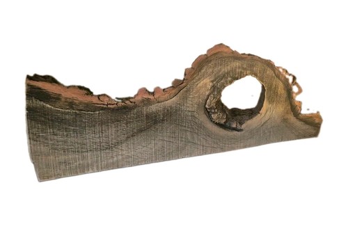 Character english oak - english, live