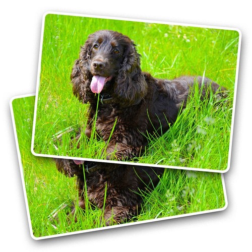 Vinyl sticker irish - 2x,