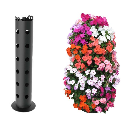 Flower fruit herb vegetable - flower,,