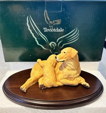 TEVIOTDALE Golden Labrador