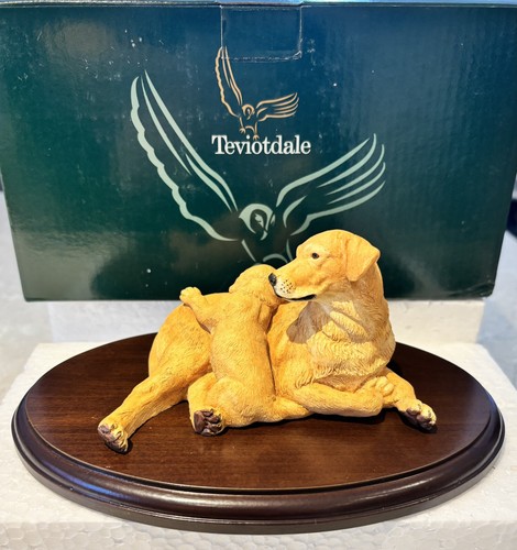 Teviotdale golden labrador - golden,