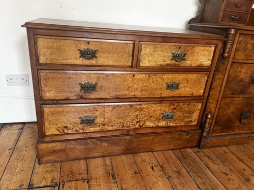 Antique burr walnut - antique, chest