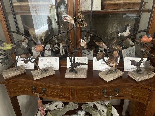 Stunning collection off 5 - a,