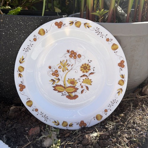 Arc arcopal white milk glass - arc,