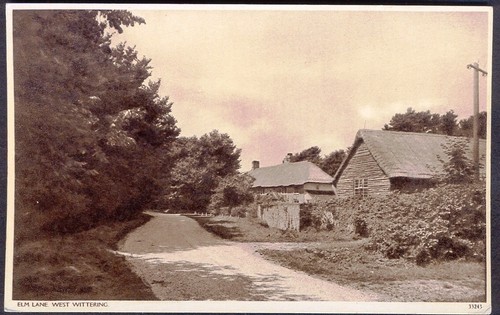 Elm lane west wittering - elm,