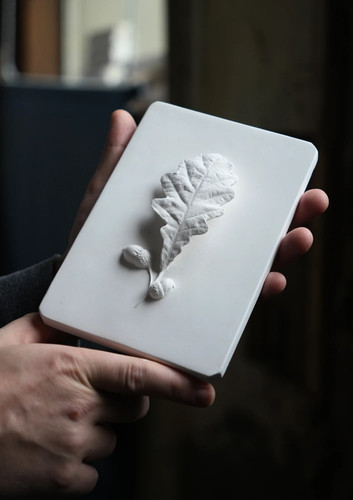 Oak leaf and acorns plaster - oak,