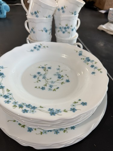 Arc arcopal france veronica - arcopal,