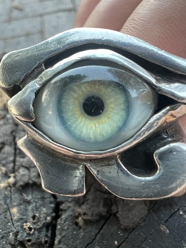 Rare paterson riley - riley, eye