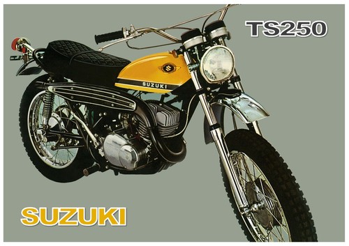 Suzuki poster ts250 savage - poster,