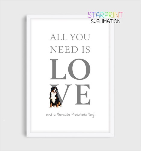 Bernese mountain dog all you - mountain, "all