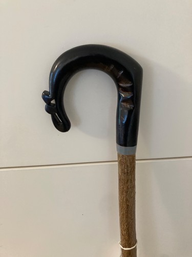 Buffalo horn crook - buffalo, on