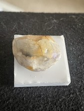 Opalised Shell From Lightening