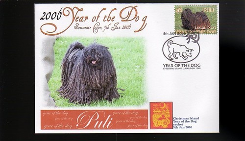 Hungarian puli 2006 year - hungarian, of