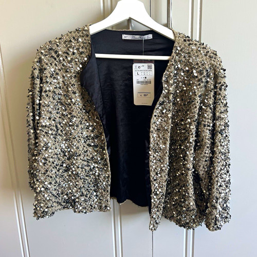 Zara knit silver sequin - knit,