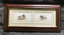 Joel Kirk Framed print, Waterfowl ducks.