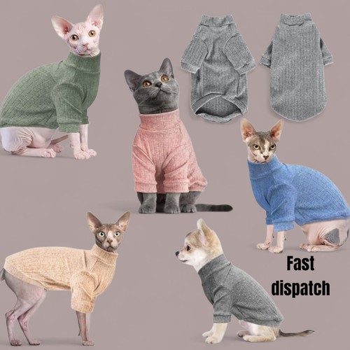 Hairless cats sweater shirt - hairless,