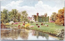 Chiddingstone Antique Postcard