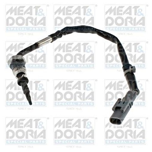 Exhaust gas temperature sensor - exhaust,