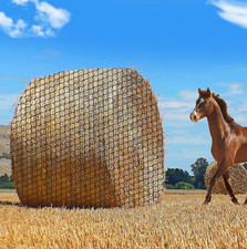  6*6ft 1.75" Holes Grass