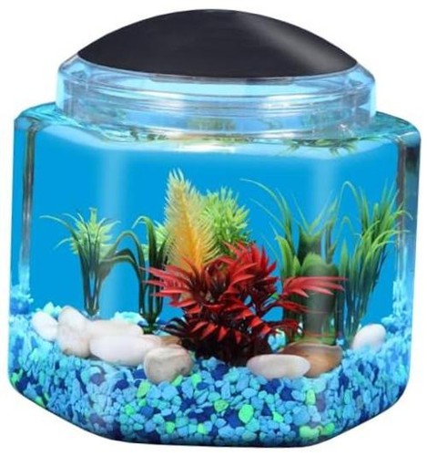 Gallon hex bettatank led - gallon,
