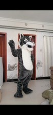 Halloween Wildcat Bobcat