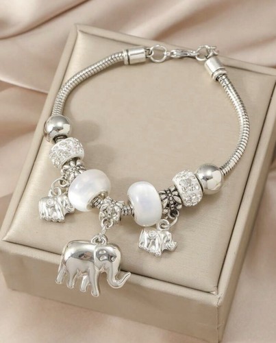 Silver charm bracelet - charm, with